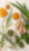 Herbal_Products.jpeg.jfif