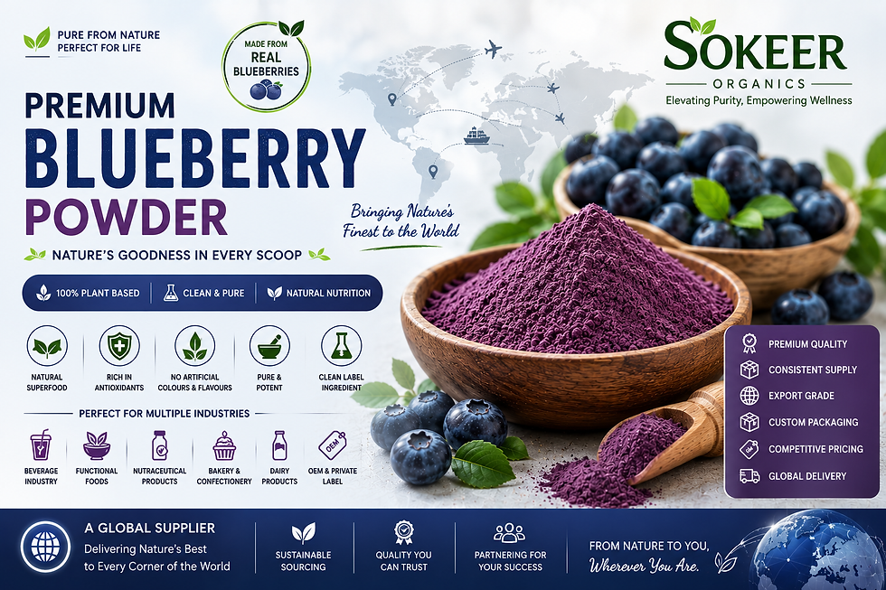 Buy premium Bulk Blueberry Powder in Germany from Sokeer Organics. Trusted manufacturer, exporter, OEM & private label supplier for food, beverages & nutraceuticals.