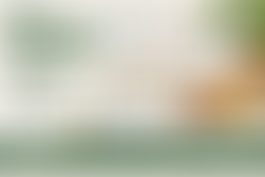 Food Enzyme Suppliers in Canada | Sokeer Organics
