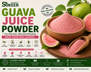 Guava Juice Powder Supplier in Canada | Sokeer Organics