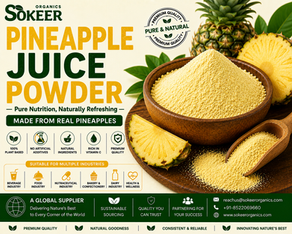 Pineapple Juice Powder Suppliers in Canada | Sokeer Organics