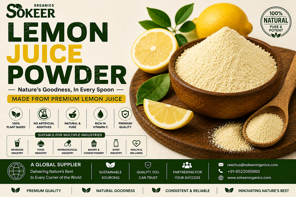 Lemon Juice Powder Suppliers in USA – Premium lemon juice powder for food and beverage applications