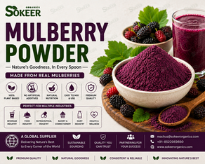 Mulberry Powder Manufacturer in Australia | Sokeer Organics