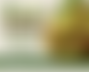 Kiwi Juice Powder Supplier in Canada | Sokeer Organics