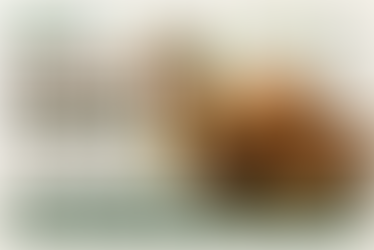 Tamarind Powder Manufacturer in Australia | Sokeer Organics