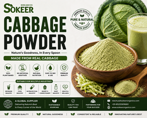 Cabbage Powder Manufacturer in Australia | Sokeer Organics