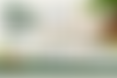 Functional Ingredient Suppliers in Canada | Sokeer Organics