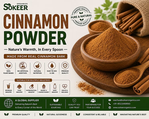 Cinnamon Powder Manufacturers in Canada | Sokeer Organics