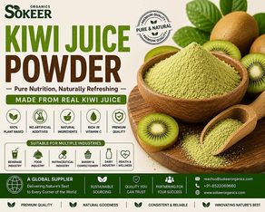 Kiwi Juice Powder Manufacturers in Canada | Sokeer Organics