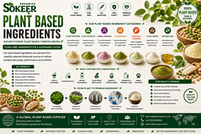 Plant Based Ingredient Manufacturers in Canada | Sokeer Organics