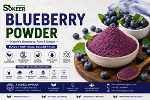 Blueberry Powder Manufacturer in Australia | Sokeer Organics
