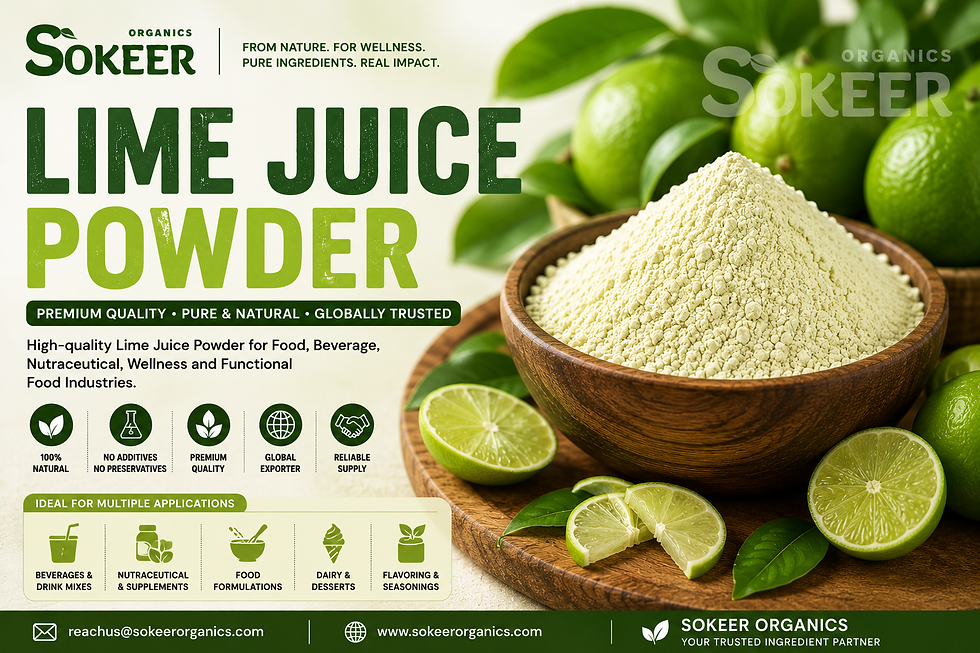 Buy premium Bulk Lime Juice Powder from Sokeer Organics, a trusted Lime Juice Powder manufacturer, supplier, exporter, and wholesale partner serving Germany and global markets.