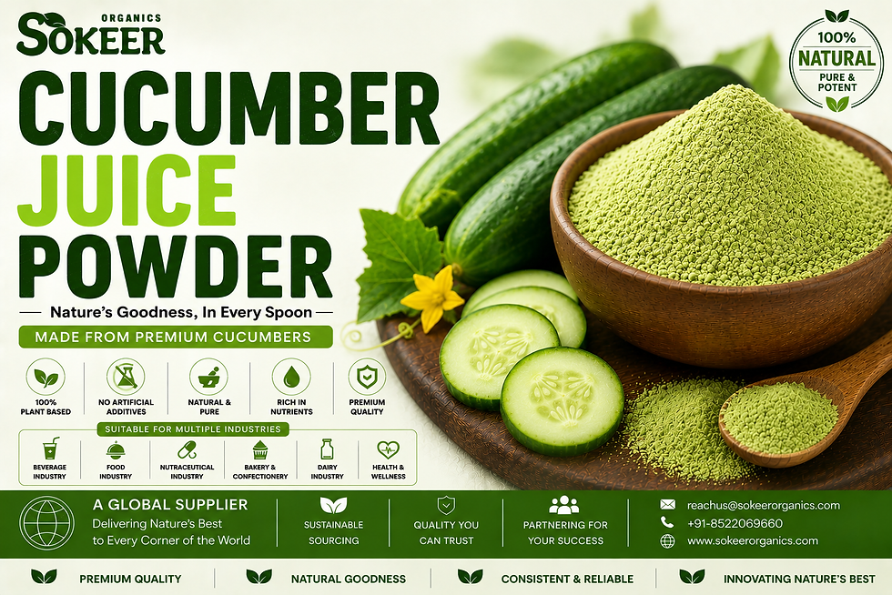 Cucumber Juice Powder Suppliers in USA
