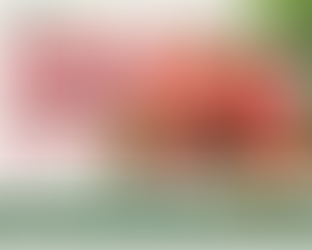 Watermelon Juice Powder Manufacturers in USA | Sokeer Organics
