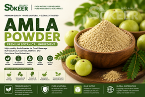 Amla Powder Manufacturer in USA | Sokeer Organics