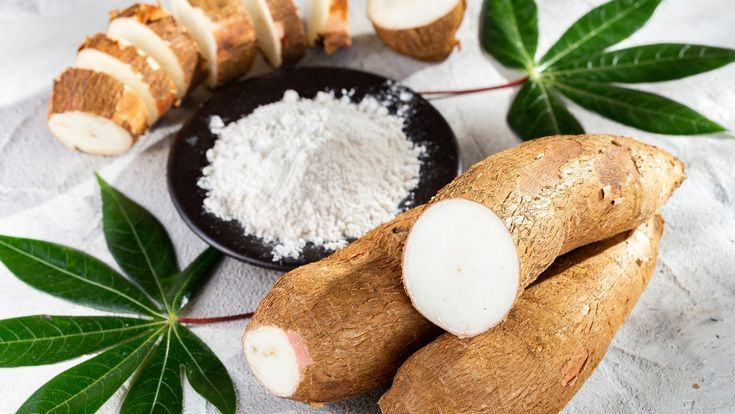 Buy premium Cassava Flour Powder in bulk from Sokeer Organics, a trusted supplier, manufacturer, and exporter serving USA and global markets.
