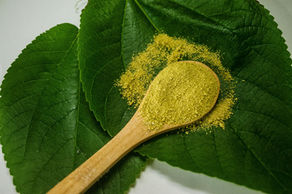 Bulk Indigo Leaf Powder Supplier in USA | Sokeer Organics