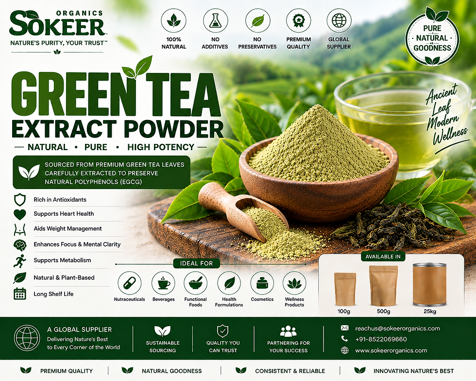 Green Tea Extract Powder Suppliers in Singapore