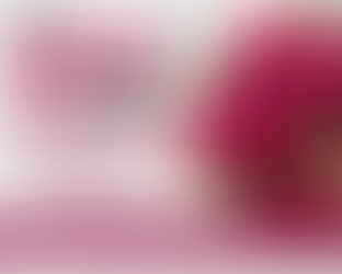 Dragon Fruit Powder Manufacturer in Australia | Sokeer Organics