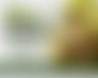 Amla Powder Supplier in Australia | Sokeer Organics