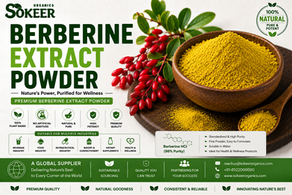 Berberine Extract Powder Manufacturers in Canada | Sokeer Organics