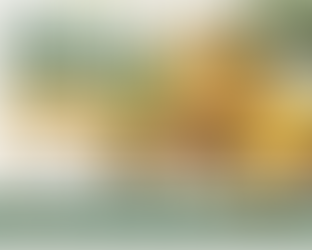 Bromelain Extract Powder Manufacturers in Singapore | Sokeer Organics