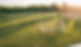 DJI_0073.jpg