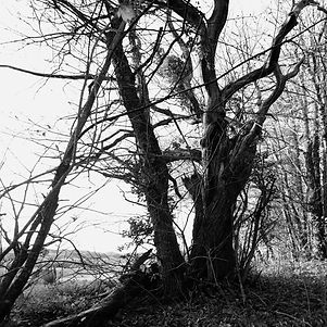 Quercy Ghosts #23