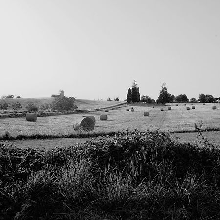 Les Causses de Quercy