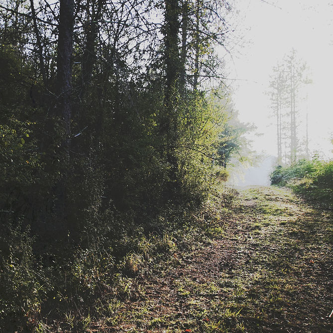 22 - On the way