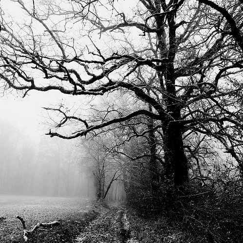 Chemin d'Hiver