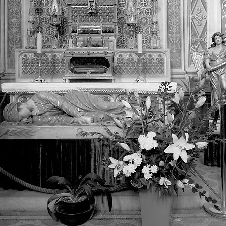 Albi Cathedrale