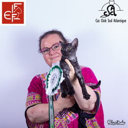 312743459_551402916991396_3516414343145279422_n