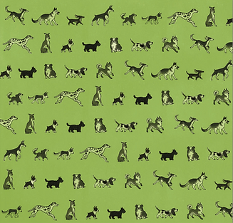 Screen Shot 2023-10-09 at 11.05.31 AM.png