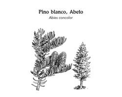 IMG-3799