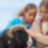Umweltbildungsort Gertrudenhof - Bildung für Kitas & Schulen