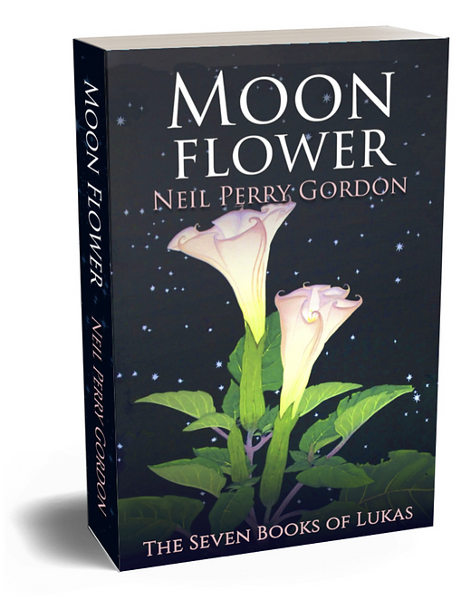 Moon Flower: A seventeenth century tale of a young man's search