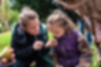 Umweltbildungort Gertrudenhof Obst ernten für Kinder
