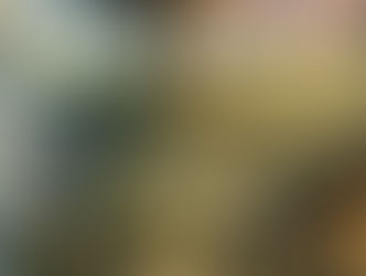 THE VIBRANT THREAD OF SELF