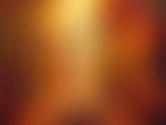 My Brother’s Forest Burial