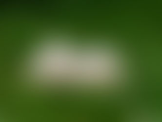 The book review directory of the righteous one