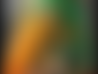 LIFE AFTER DEATH  LIFE BEFORE DEATH