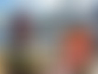 Novelist Finds Success Joining Genres