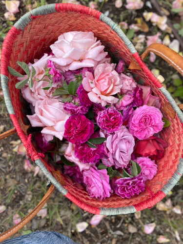 Rose Cardamom Meyer Lemon Mixer | landandlocal