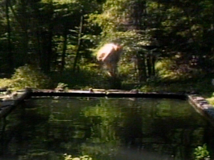 The Reflecting Pool photo by Vill Viola c1977-80.jpg
