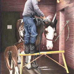 Wash Stall