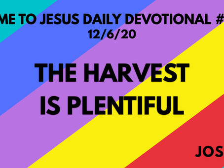 #125 – THE HARVEST IS PLENTIFUL (12/6/20)