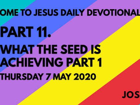 PART 11 – WHAT THE SEED IS ACHIEVING PART 1 (7/5/20)