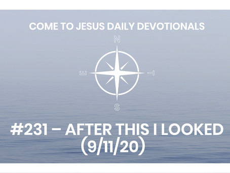 #231 – AFTER THIS I LOOKED (9/11/20)