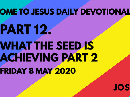 PART 12 – WHAT THE SEED IS ACHIEVING PART 2 (8/5/20)
